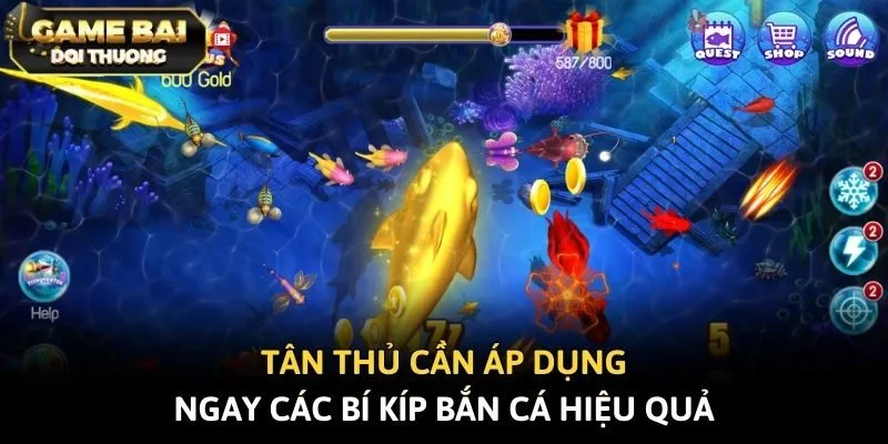 Tân thủ cần áp dụng ngay các bí kíp bắn cá hiệu quả